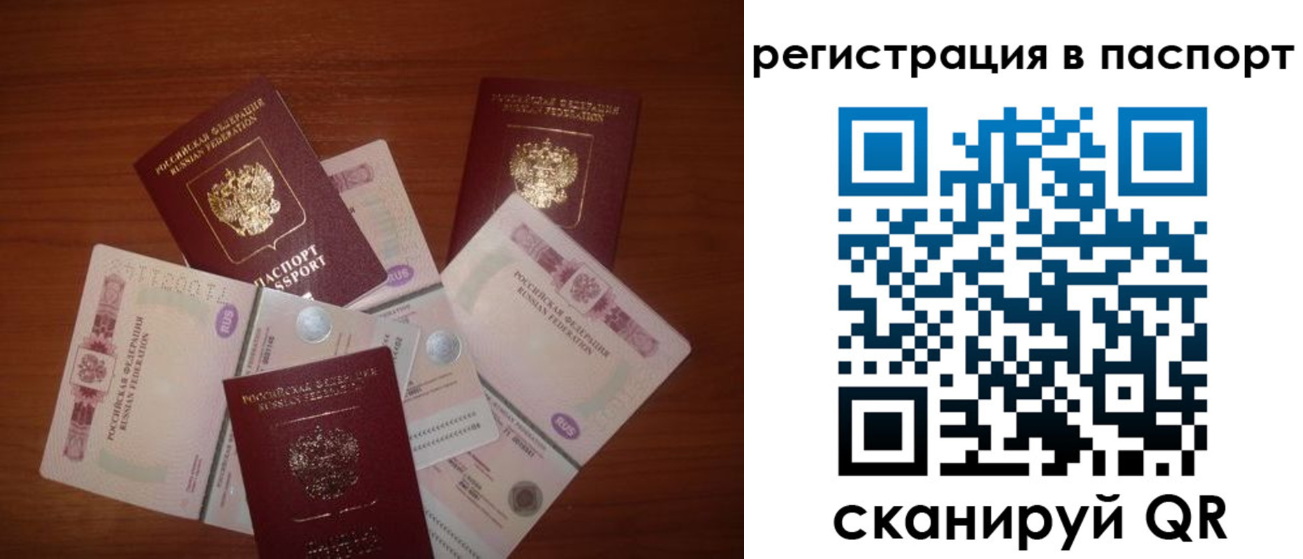 временная регистрация надежно в Бийске